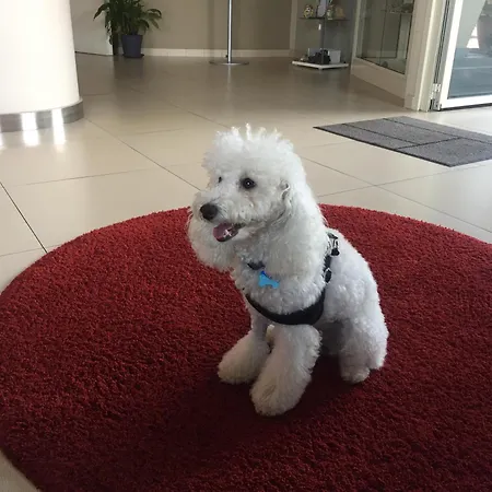 Feriested Mareneve Linguaglossa