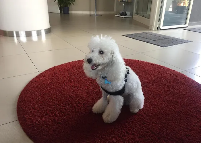 Resort Mareneve Linguaglossa